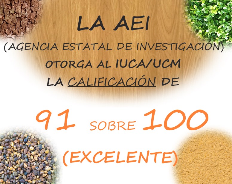 LA AEI (AGENCIA ESTATAL DE INVESTIGACIÓN) OTORGA AL IUCA/UCM LA CALIFICACIÓN DE 91 SOBRE 100 (EXCELENTE)
